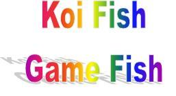 koi-fish-and-game-fish