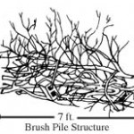 brush pile