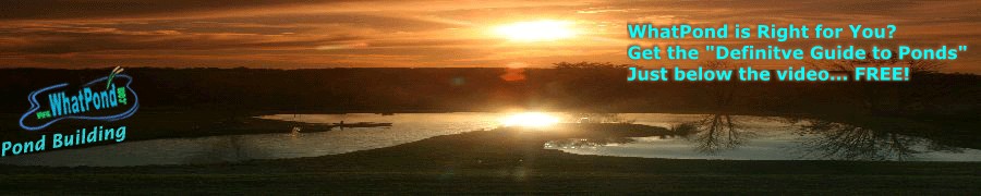Sunset Pond
