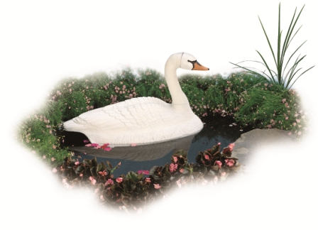 Pond Tools & Decoys