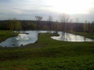 Pond Building