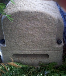 AM air intake