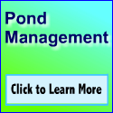 Pond Managemant
