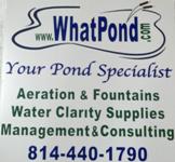 pond building