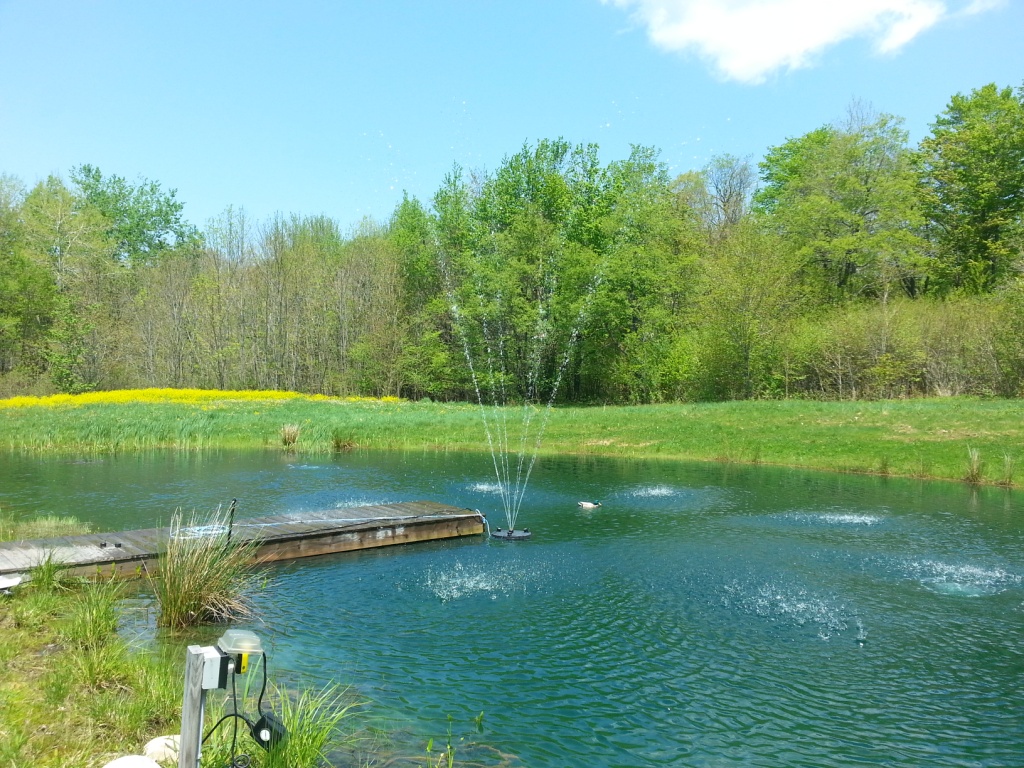 Affodable Pond display Fountain, 3 different dislays, 100′ of cord…