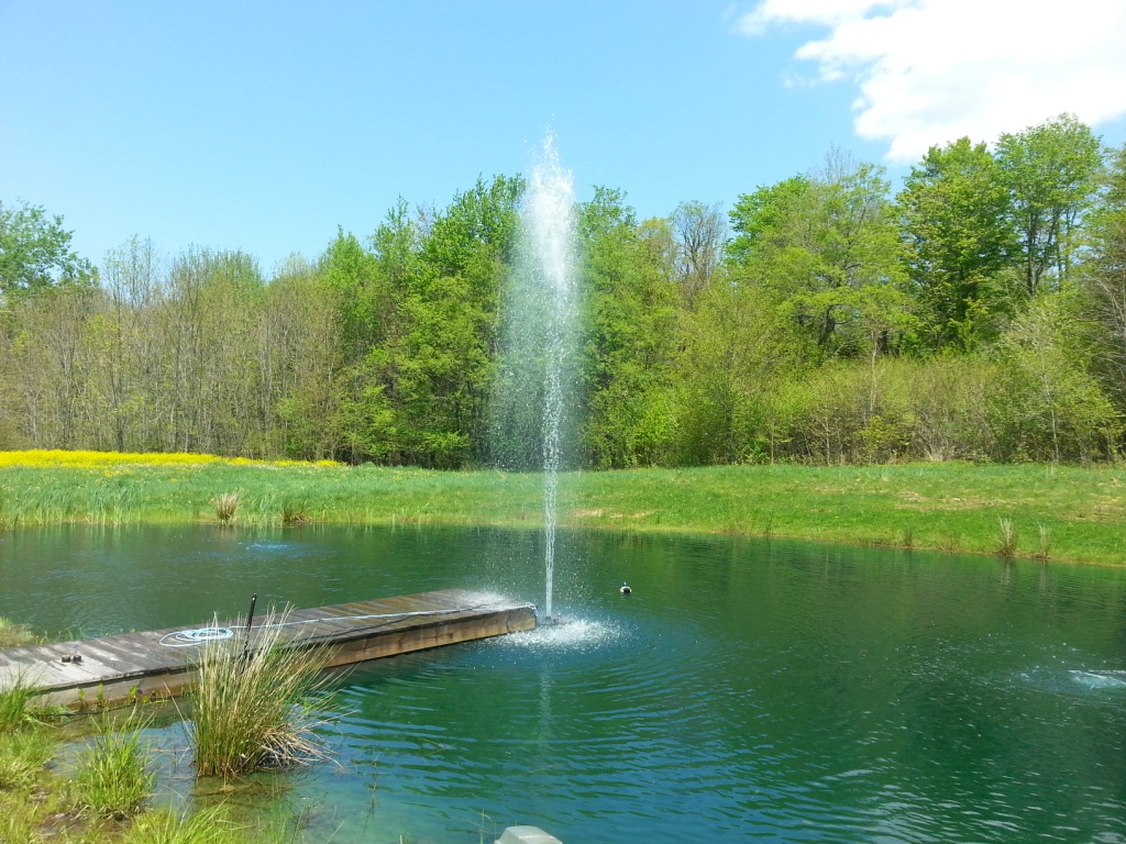 Affodable Pond display Fountain, 3 different dislays, 100′ of cord…