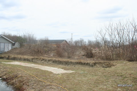 farm-pond