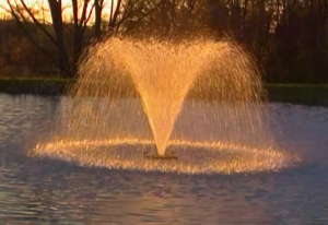 pond fountain