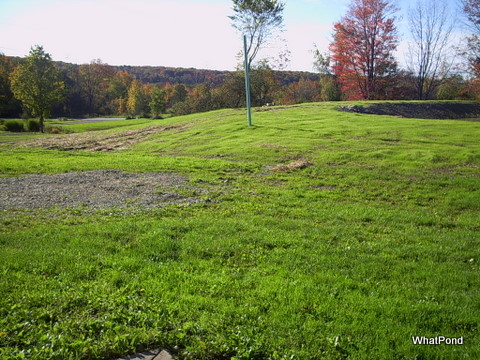 topsoil-and-grass