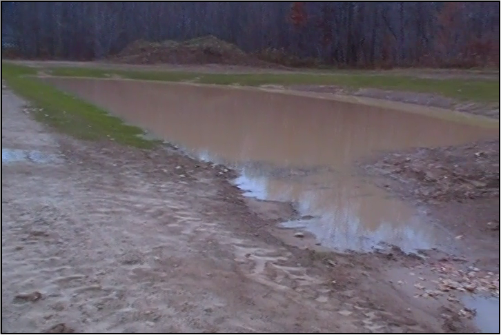 Farm Pond 