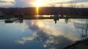 pond sunset