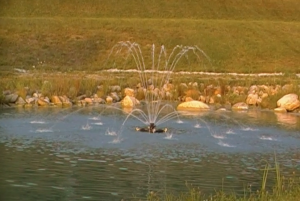 pond fountain