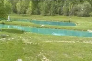 pond dye blue