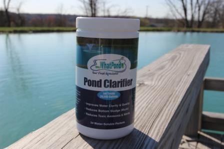 2000 gallon pond clarifier pond bacteria