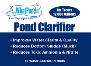 Koi Pond Clarifier 12 pack