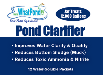 Pond Clarifier 12 pack