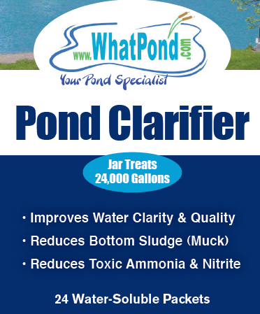Koi Pond Clarifier 24 pack