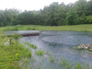 aeration in pond 