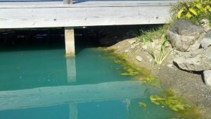 Pond water dropped from bottom of the deck. see the rock line.