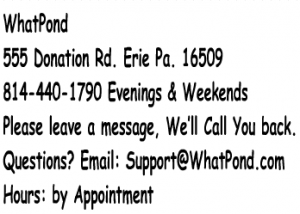 whatpond address pic250