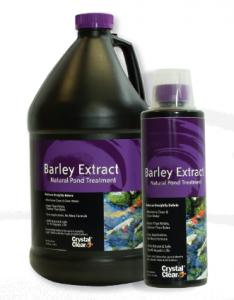 barley extract