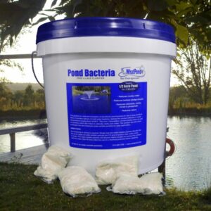 12 lbs pond clarifier pond bacteria