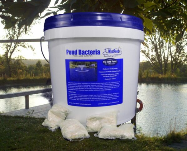 12 lbs pond clarifier pond bacteria