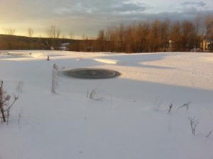 Winter pond