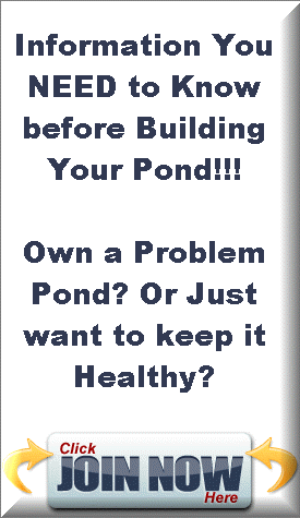 Free Pond Info