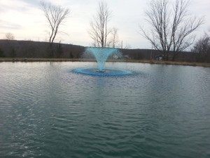 blue fountain