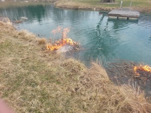 Pond Fire