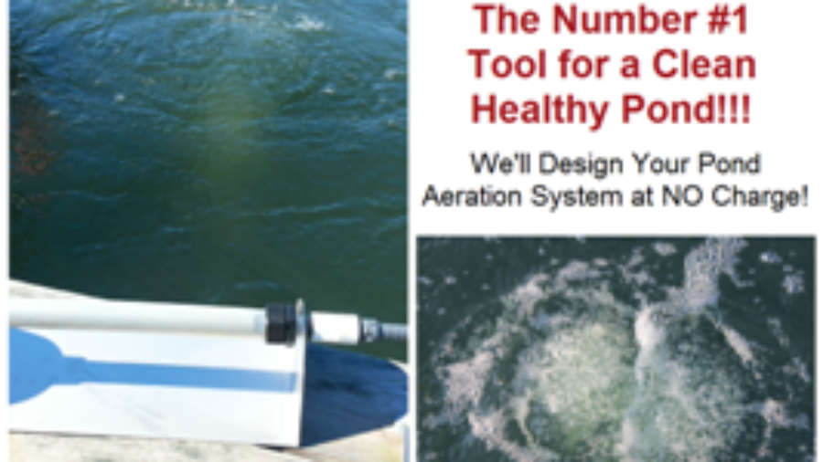 Proper Sized Aeration benefits the pond, just adding bubbles will be