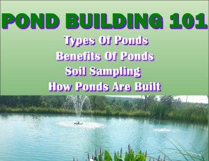 pond-building-101