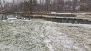 First snow on the pond 2014