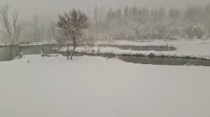 Snow a few hours later at the pond