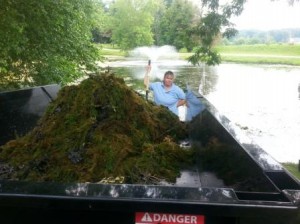 coon tail in dump trailer