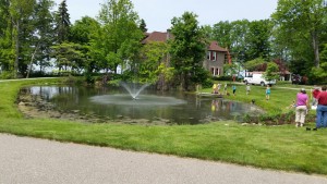 Fountain and garden