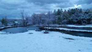 first snow on the pond 10 16