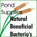Test 8 pond supplies 125