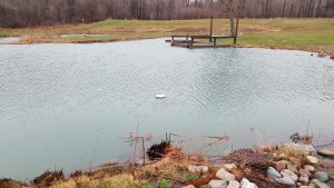 Spring pond full after storm-pond deck