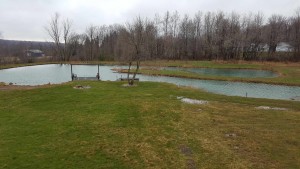 Overview of the full Pond