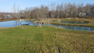 spring pond after burned 2016