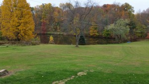 Large pond with alot of leaf litter