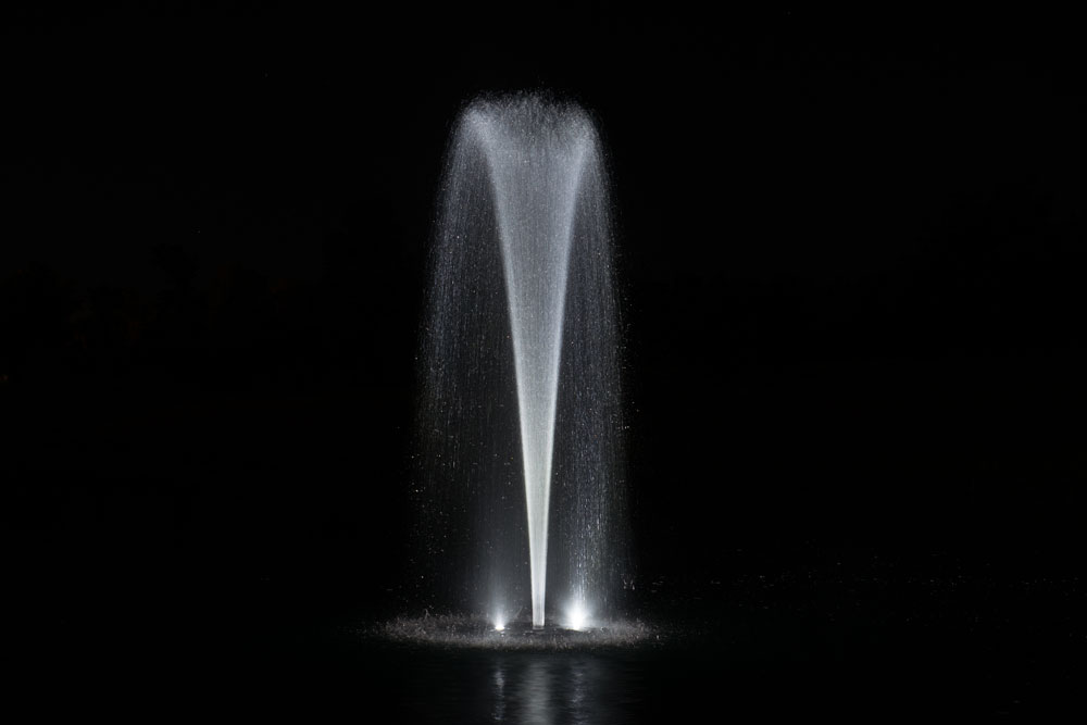 EcoSeries™ half HP Fountain - Image 4