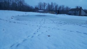 Deer Print on the Pond Ice