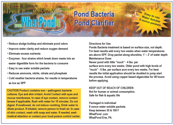 Beneficial Pond Bacteria