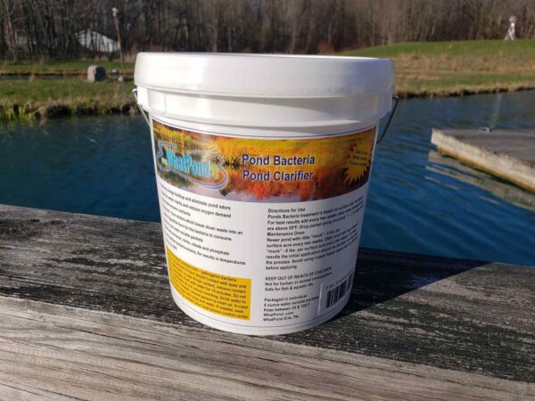 Beneficial Pond Bacteria