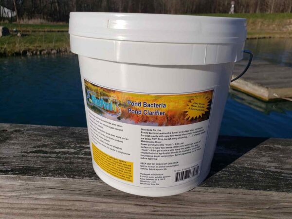 Beneficial Pond Bacteria