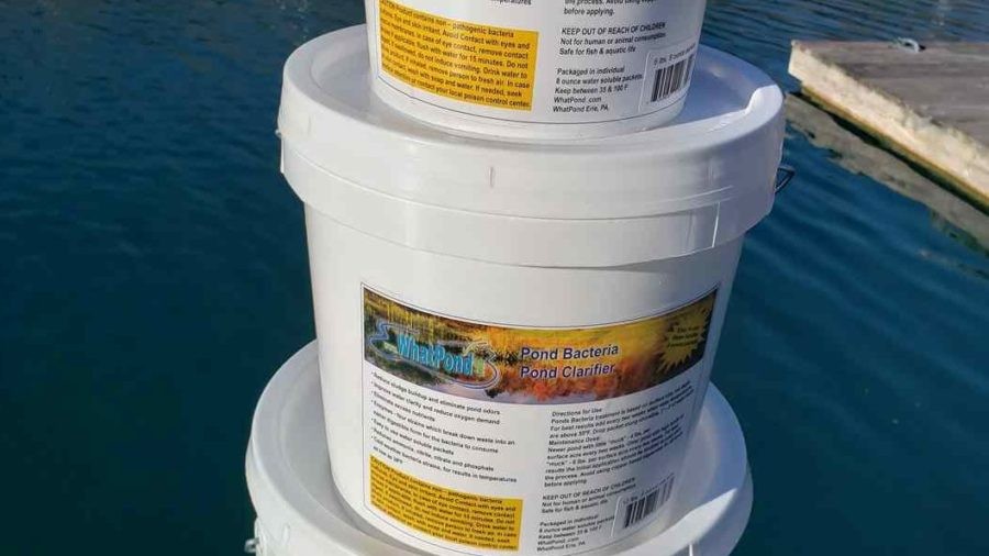 Beneficial Pond Bacteria