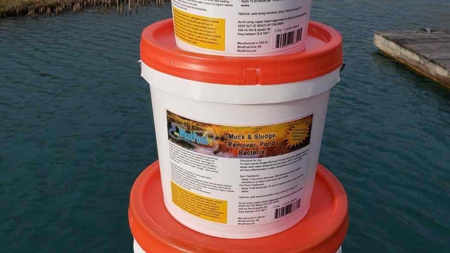 Sludge & Muck Remover 1 ounce blocks